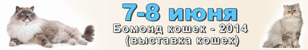 Бомонд кошек - 2014 года (выставка кошек)