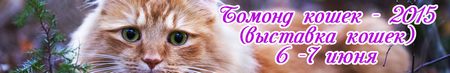 Бомонд кошек - 2015 (выставка кошек)