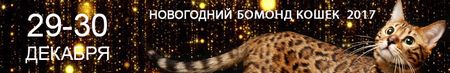 Новогодняя выставка-продажа БОМОНД КОШЕК 2017