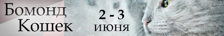 Бомонд Кошек